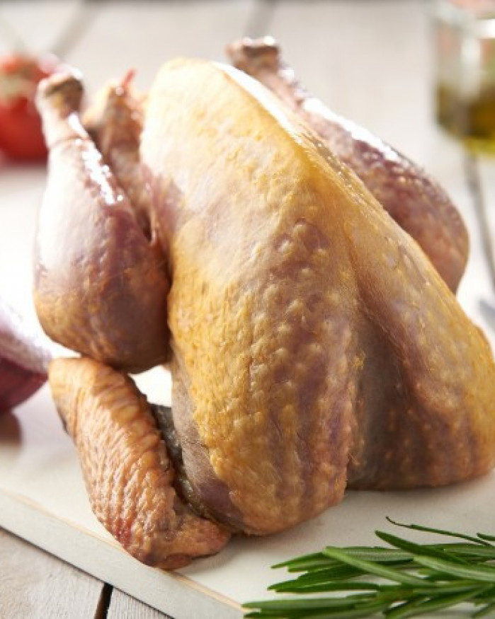 Pintade de 100 jours 